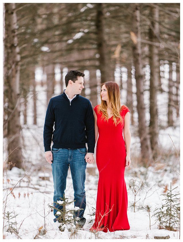 Red Dress Wisconsin Engagement Photographer_5320