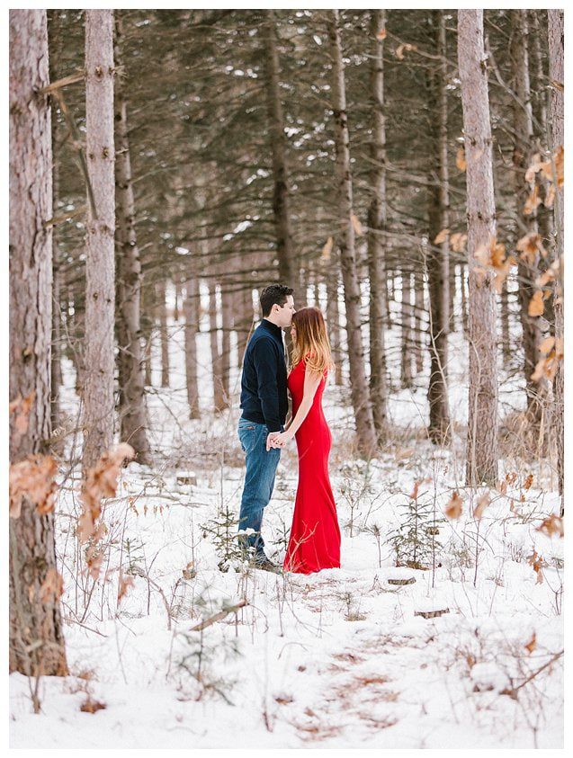 Red Dress Wisconsin Engagement Photographer_5325