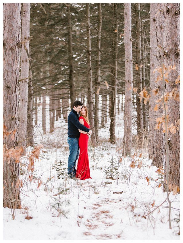 Red Dress Wisconsin Engagement Photographer_5330