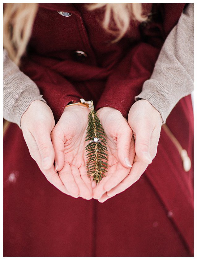 Winter Wisconsin Engagement Photography_9156